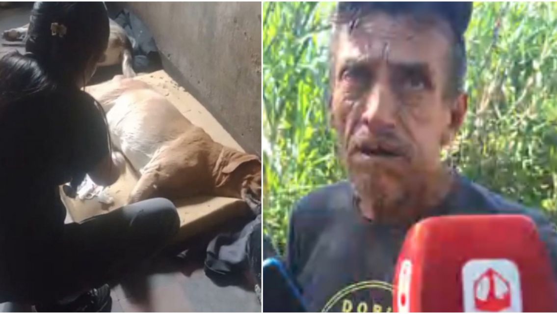 Crece la preocupaci�n en Palpal� por casos de perros envenenados