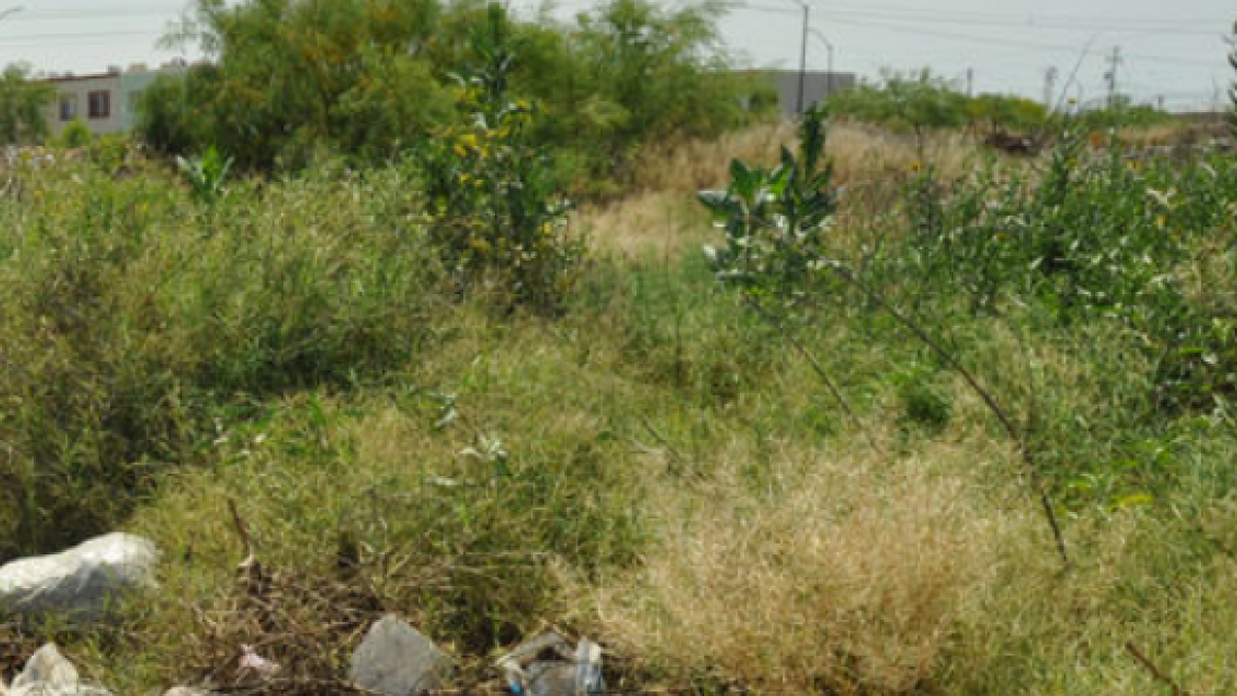 Ataque salvaje en Jujuy: una joven fue abusada y quemada