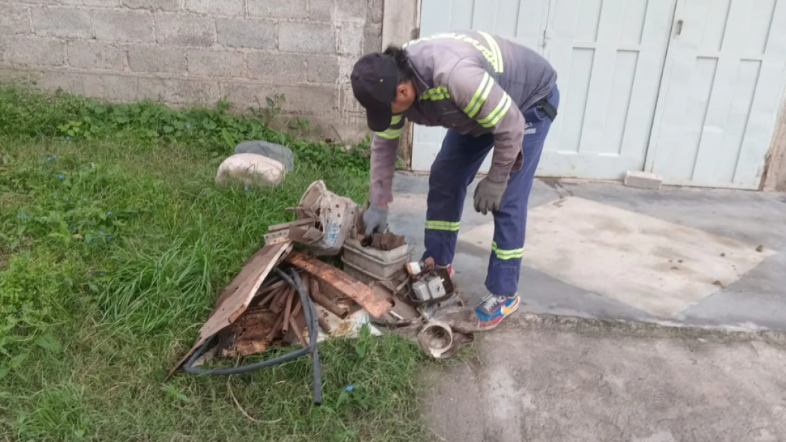Jujuy confirma 29 casos de chikungunya: dónde están y que síntomas tienen
