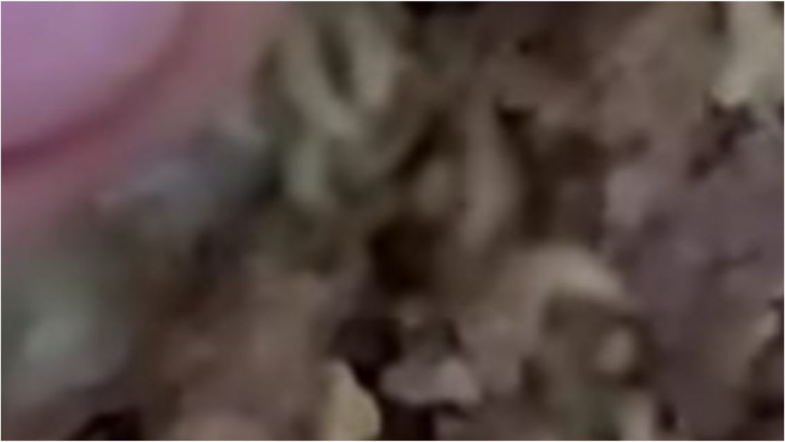 Compró una empanada de carne para ir a trabajar y encontró algo asqueroso adentro