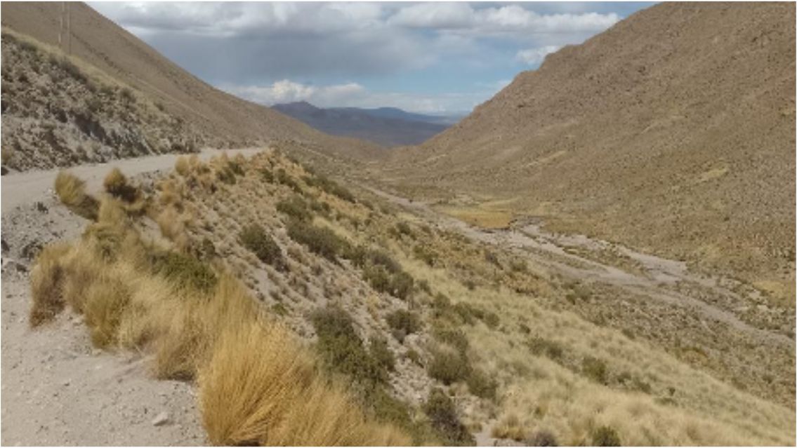 Encontraron al juje�ito m�s buscado: estaba en una zona complicada de la puna