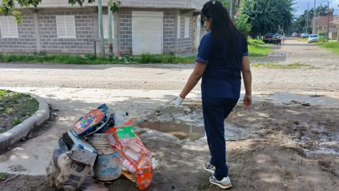 Descacharrado en Jujuy: cómo prevenir dengue, zika y chikungunya
