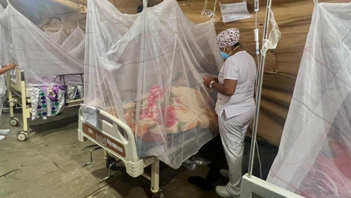 Alerta en todo el norte argentino: primera muerte por chikungunya 