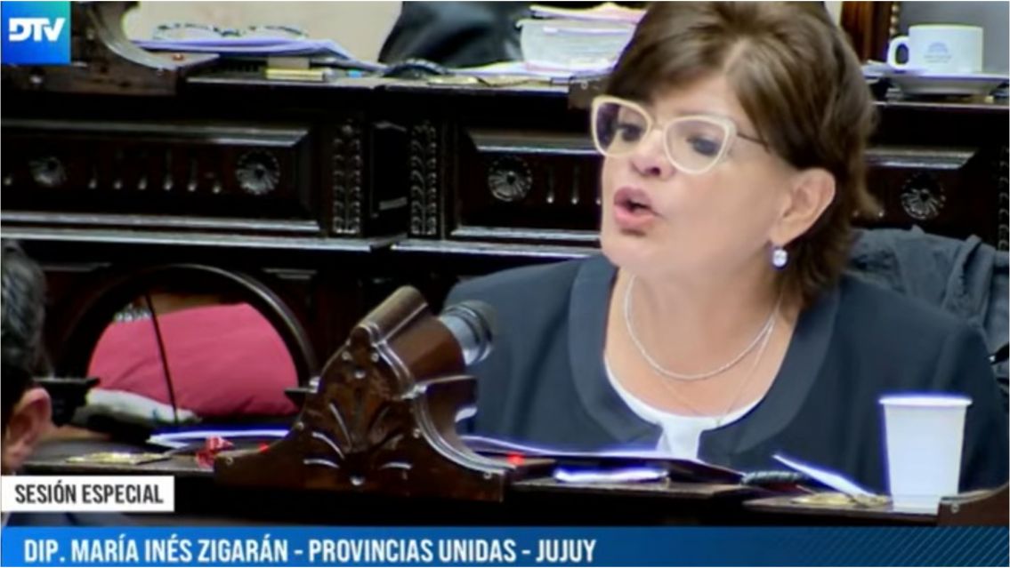 "Dejan a las provincias m�s solas": Zigar�n apunt� contra la ley de glaciares