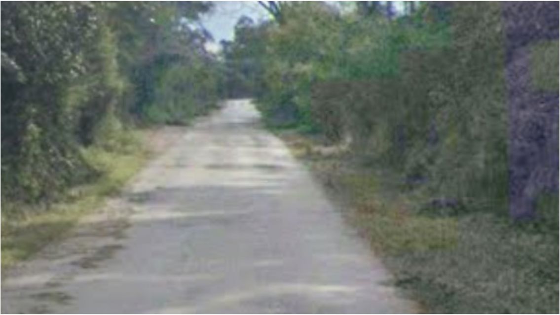 Indignaci�n en Jujuy: hall� un animal sin vida y le pidieron que le saque la piel