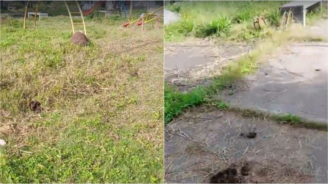 Vecinos denuncian abandono total en un barrio de Alto Comedero