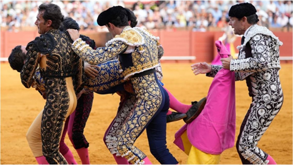 Grave accidente en plena corrida: un reconocido torero pelea por su vida