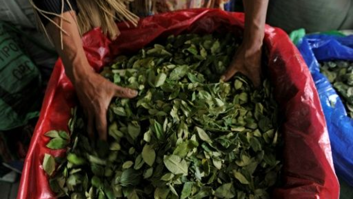 [ALERTA] Buscan a un coquero que se habr�a arrojado al R�o Bermejo