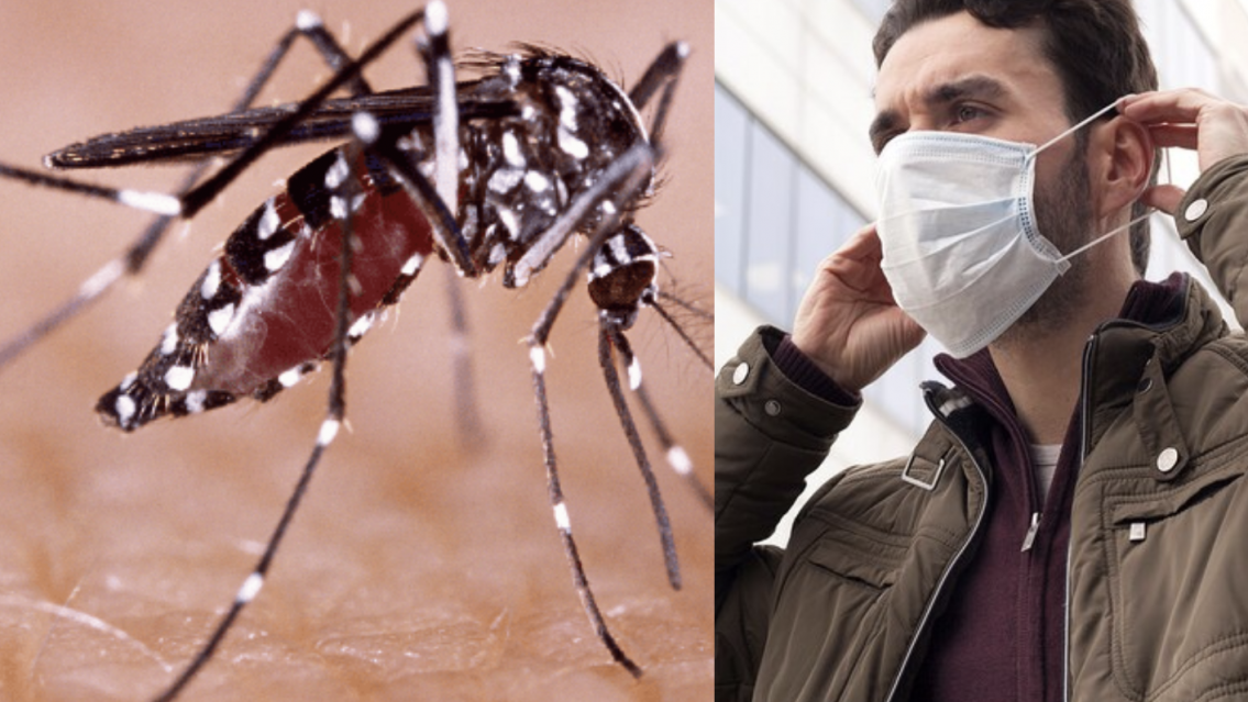 Covid y chikungunya en Jujuy: situación sanitaria en la provincia