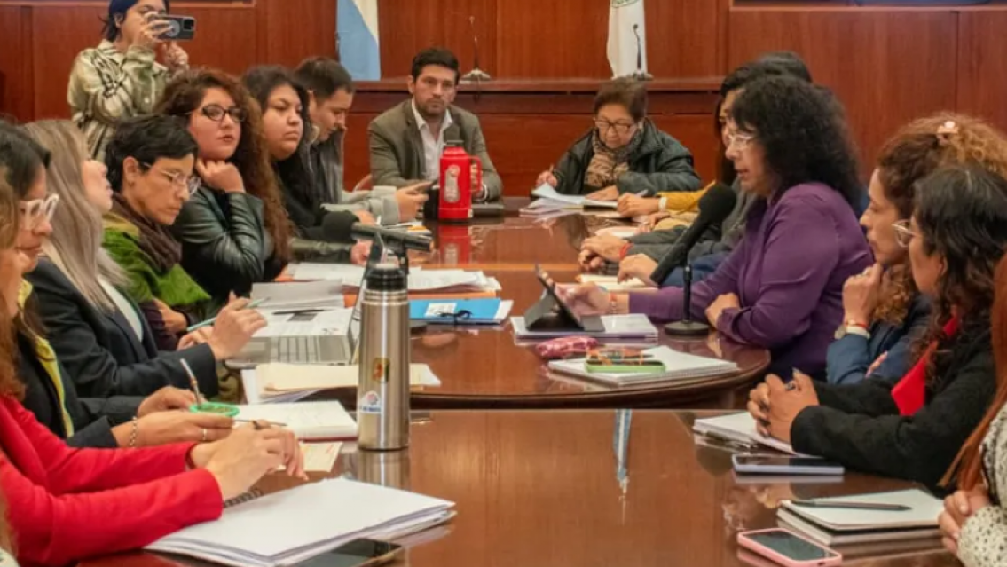 Jujuy expuso el informe de la Ley Iara: datos, programas y pol�ticas vigentes