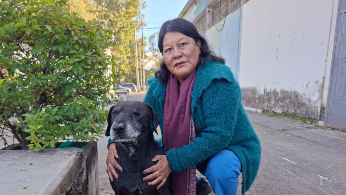 Amor por los animales: el ejemplo de una juje�a que ayuda todos los d�as