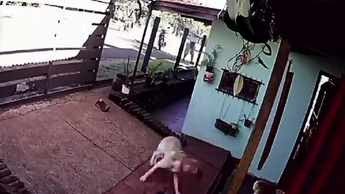 De Terror: un prestamista mat� de 8 balazos a un mec�nico por una deuda impaga