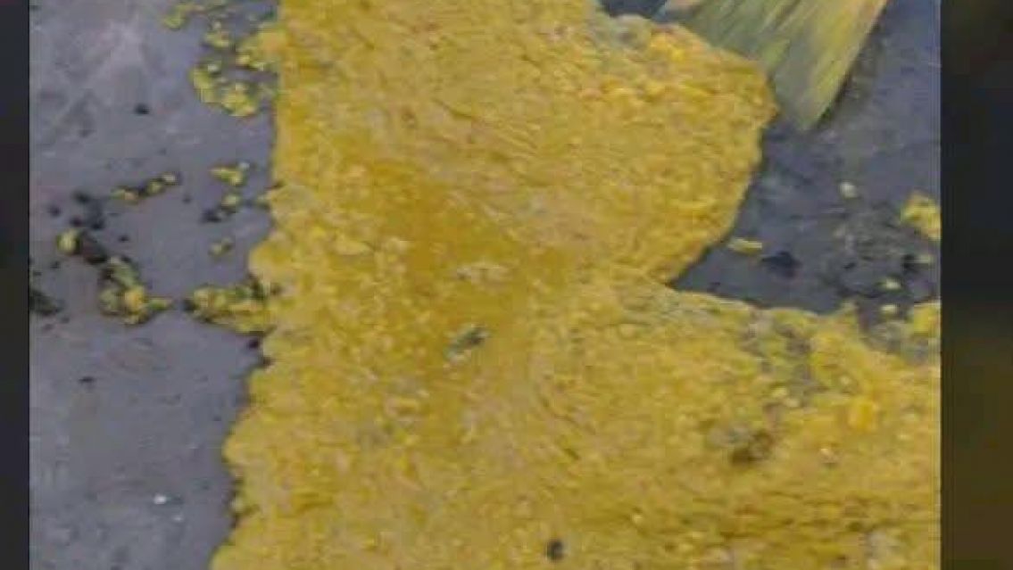 Quer�an festejar el d�a del Trabajador con una locreada y ocurri� la peor desgracia