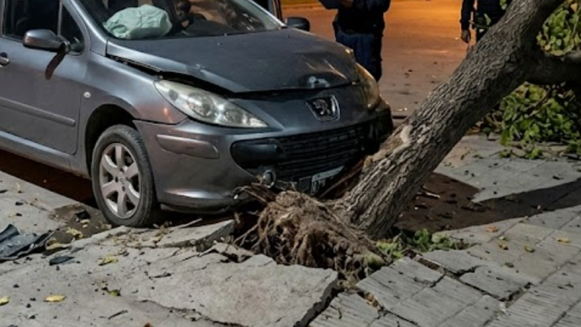 Con 2,36 de alcohol al volante, choc� un �rbol en Alto Comedero