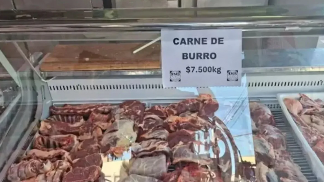 ¿Se puede comer carne de burro en Jujuy? La advertencia de la Muni que encendió las redes