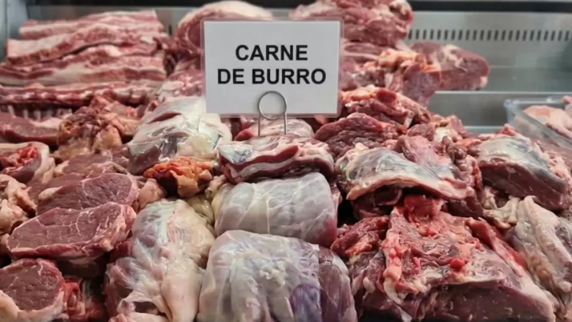 Más barata pero a qué costo: los riesgos de comer carne de burro, a tener ojo