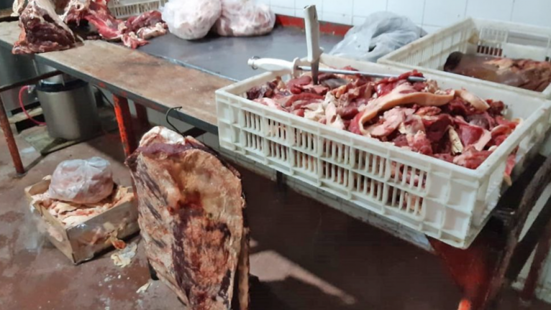Prohíben la carne de burro en Jujuy: qué dice la normativa y cuáles son los riesgos