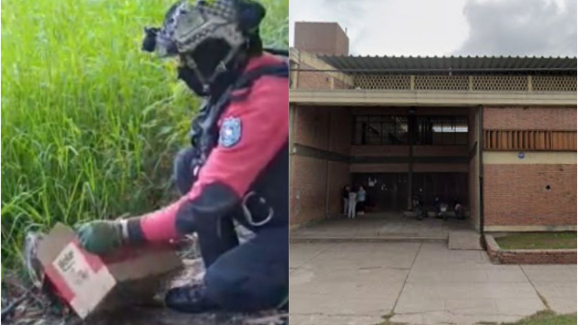 Terrible susto en una escuela de Jujuy por la aparición de un extraño animal