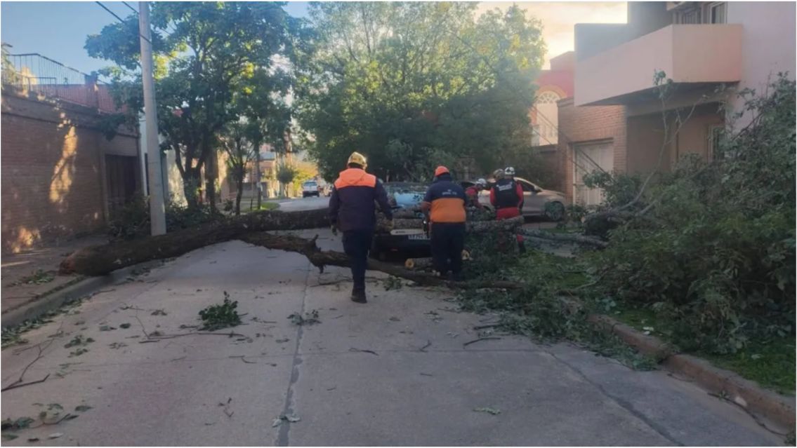 Intenso operativo en Jujuy tras el temporal de viento: asistieron a una persona herida