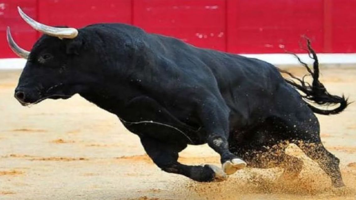 Norte�o fue atacado por un toro y tuvieron que rescatarlo en vuelo sanitario