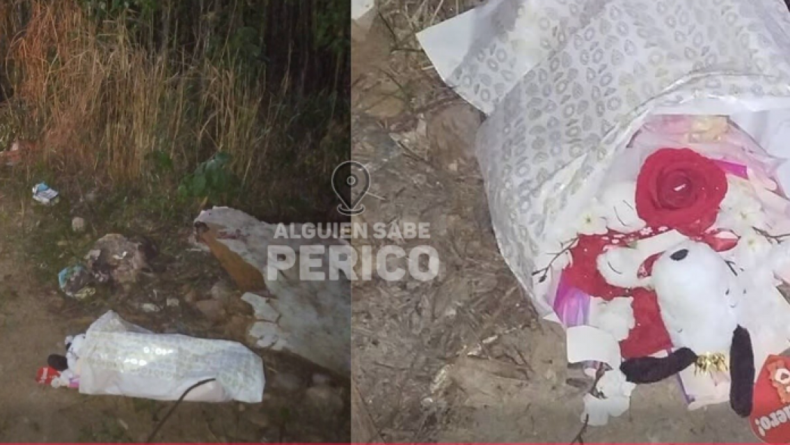 Le rompieron el coraz�n a un perique�o: tiraron su regalo a la basura