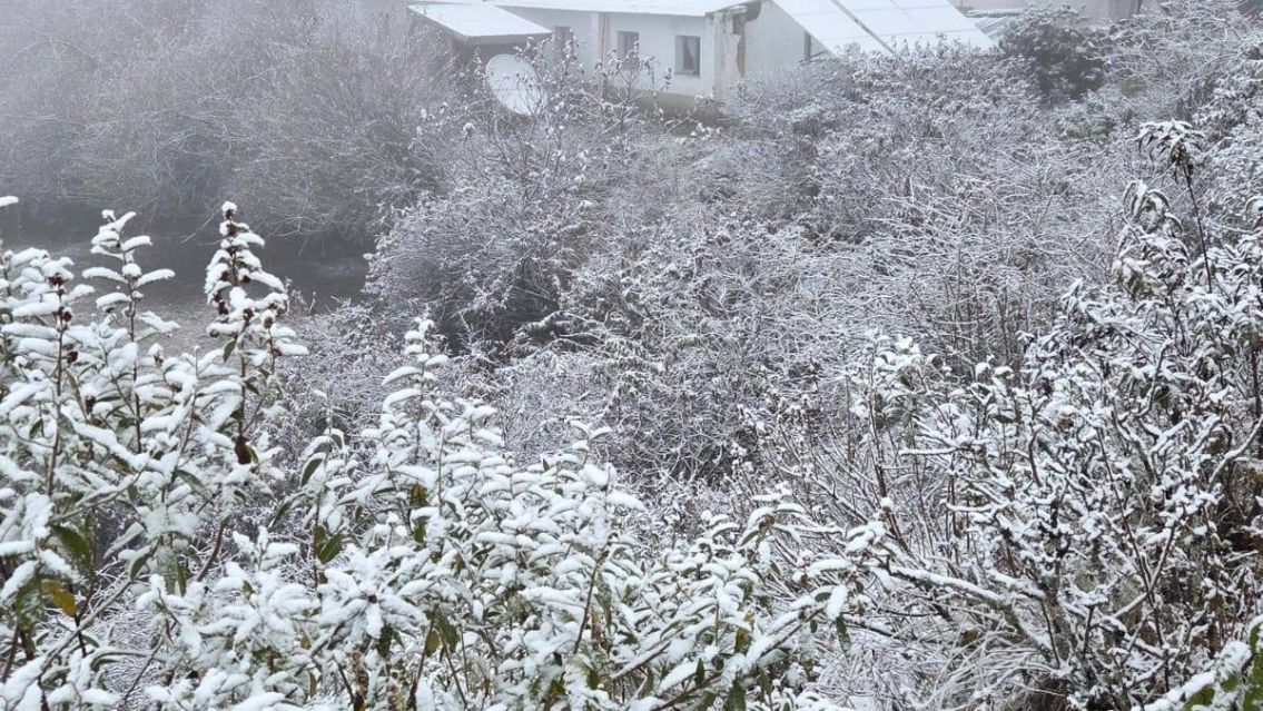 Paraje jujeño amaneció vestido de blanco tras una intensa nevada