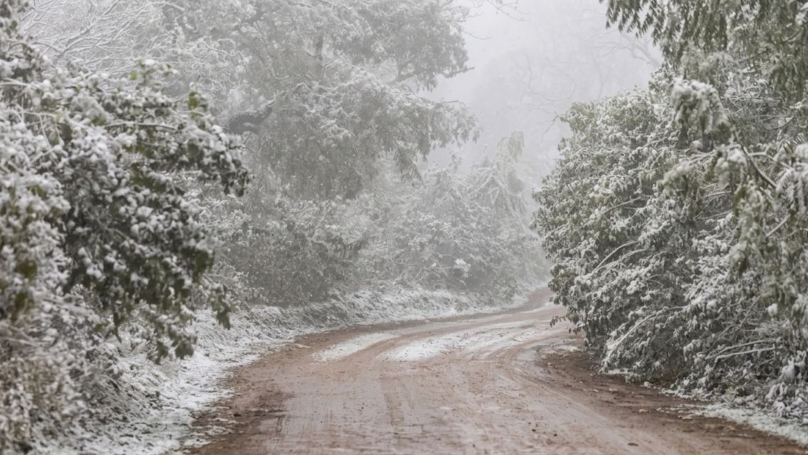 Cuándo vuelve a nevar en Jujuy: el pronóstico de un meteorólogo