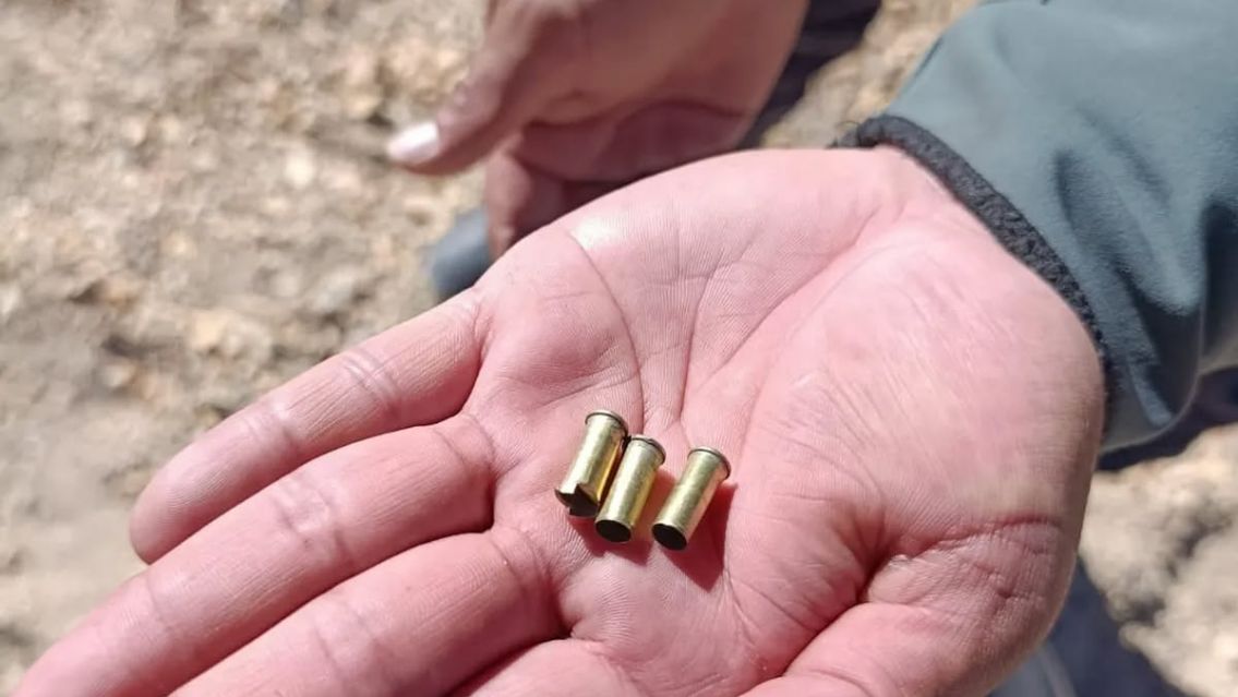 URGENTE: Aparecieron más vicuñas asesinadas en Jujuy