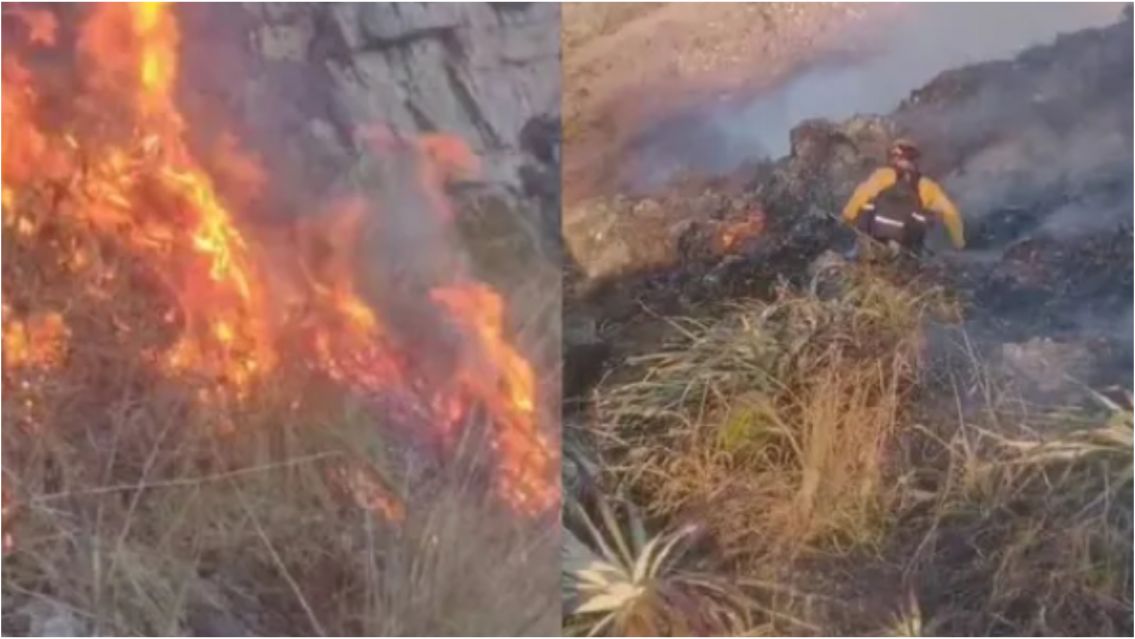 Intentaron espantar a un puma y desataron un feroz incendio en Lozano