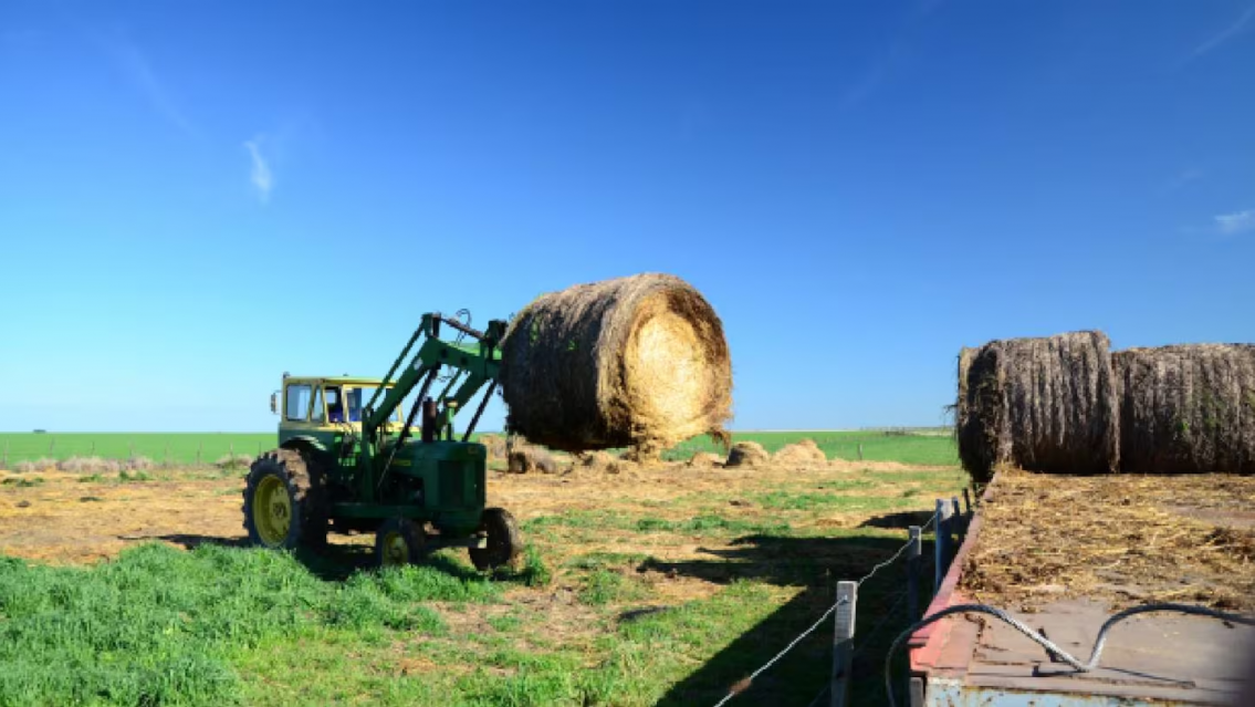 Hombre chocó contra un tractor y murió decapitado