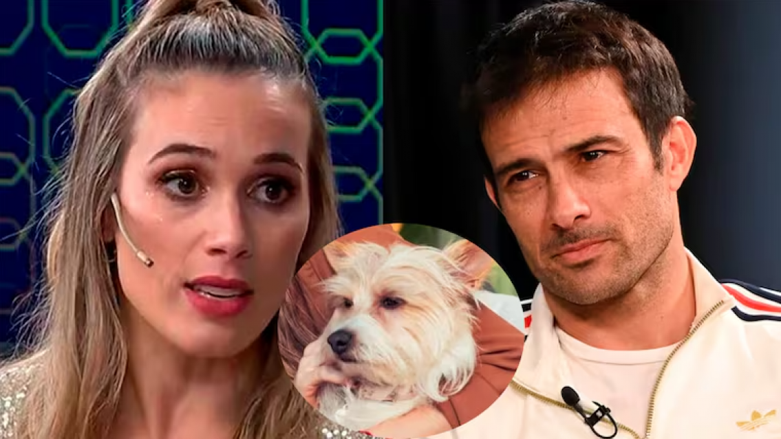 Escándalo entre Chechu Bonelli y Darío Cvitanich: qué pasó con la perra