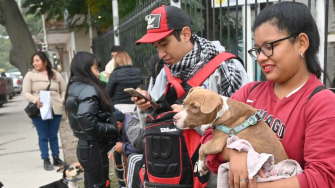 Confirmaron nuevas jornadas de castraci�n y vacunaci�n para mascotas en San Salvador de Jujuy