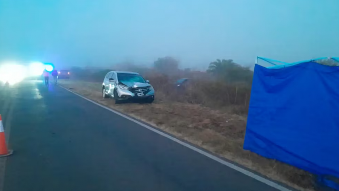 Tragedia: un hombre muri� tras ser atropellado cuando ped�a ayuda en la ruta