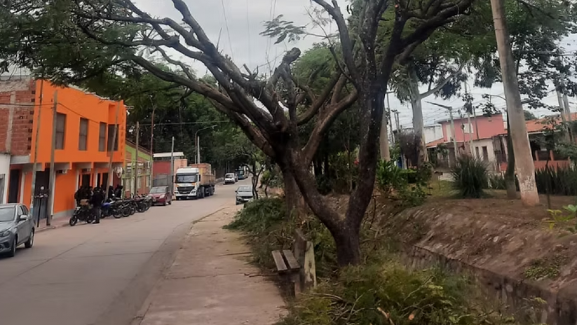 Escándalo en Libertador: acusan a EJESA de arrasar con un montón de árboles