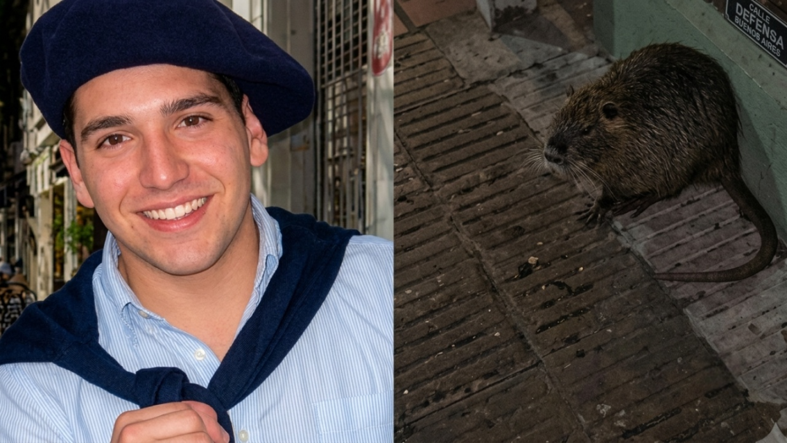Mataron de la forma mas cobarde a un tierno animal: lo acorralaron y lo subieron a redes