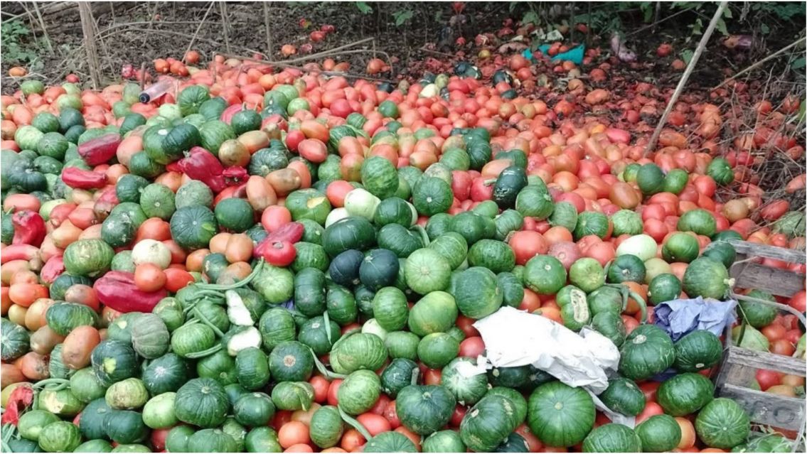 Preocupa la caída de ventas en Jujuy: productores tiraron kilos de verduras