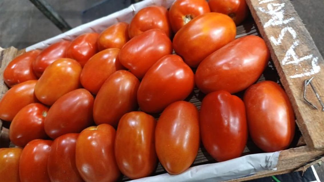 El tomate de Bolivia está a punto de dejar en quiebra a los productores de Fraile Pintado
