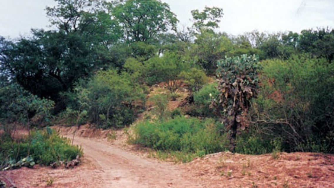 Sal�a de misa y un monstruo le hizo lo peor: "Se la llev� al monte"