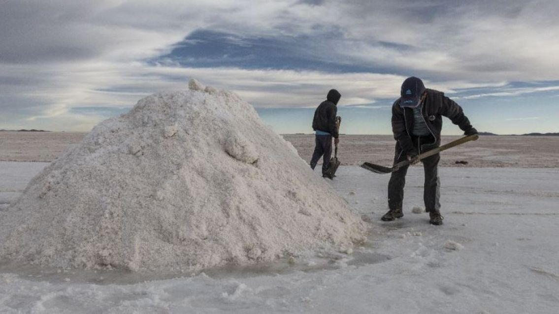 Originarios juje�os contra la nacionalizaci�n del litio: "Territorio ind�gena"