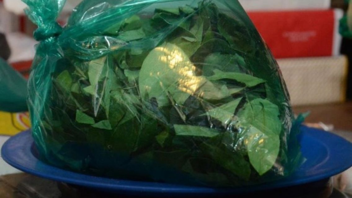 Un sueño hecho realidad: la coca en Jujuy está más barata