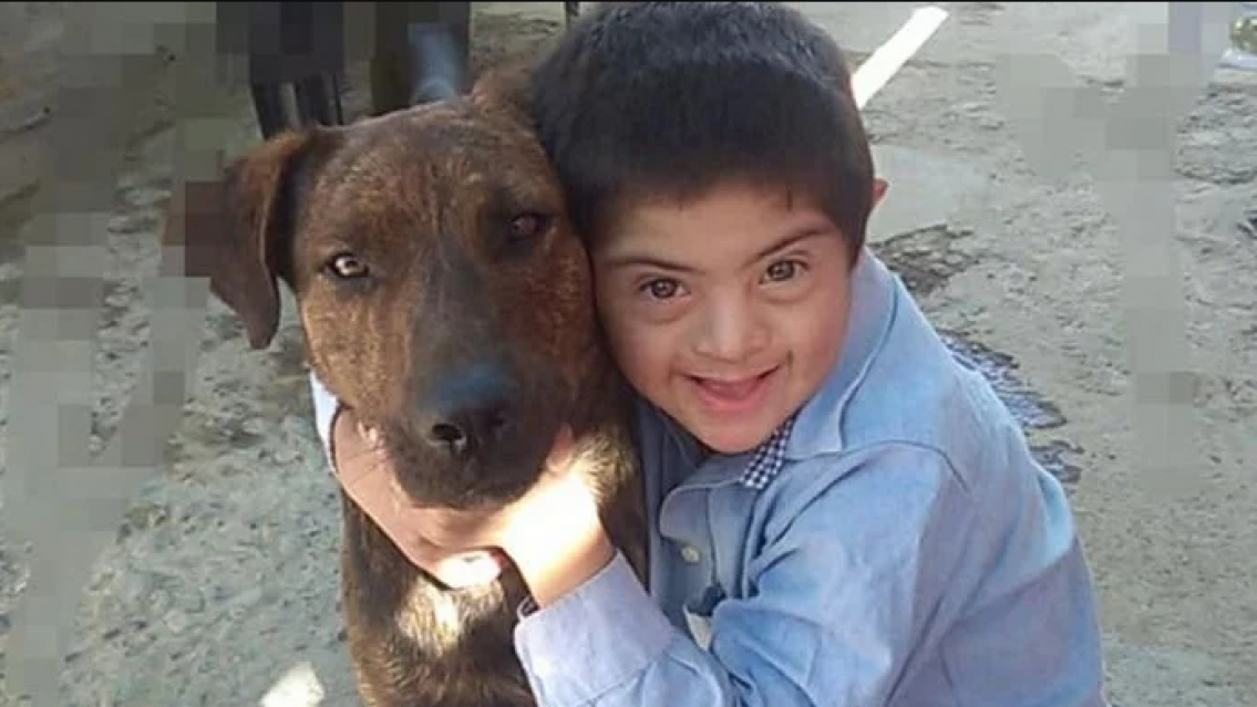 Envenenaron a un perro que era guía de un niño con síndrome de Down