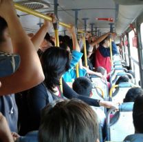 Empiezan a circular los colectivos en Jujuy: Las lineas que ya est&aacute;n en la calle