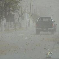 Hay alerta amarilla por fuertes vientos 