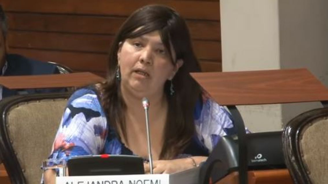 Diputada K imputada por violenta asegura ser v�ctima de "lawfare"