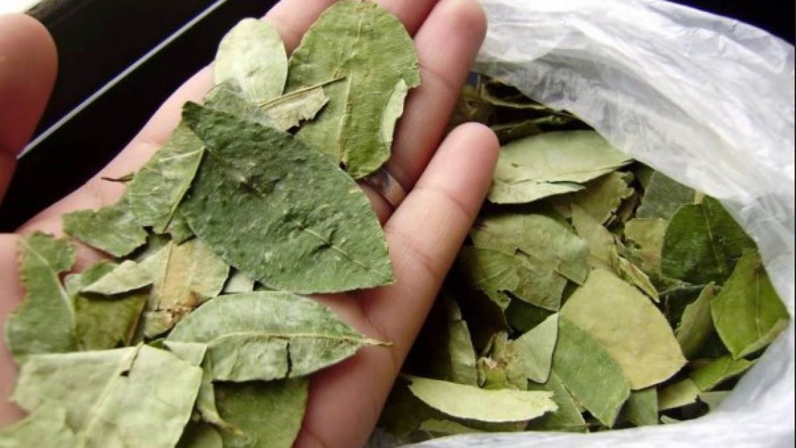 Crisis total en el norte: el aumento llegó a la hoja de coca