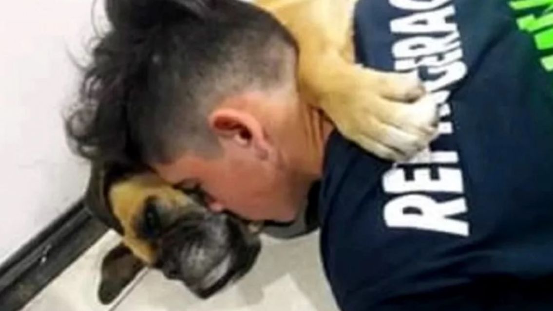 Perrita muri� abrazada a su due�o por causa de la pirotecnia