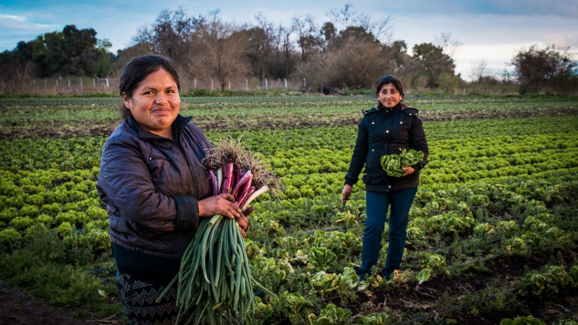 Jujuy es la provincia con más mujeres liderando campos y fincas