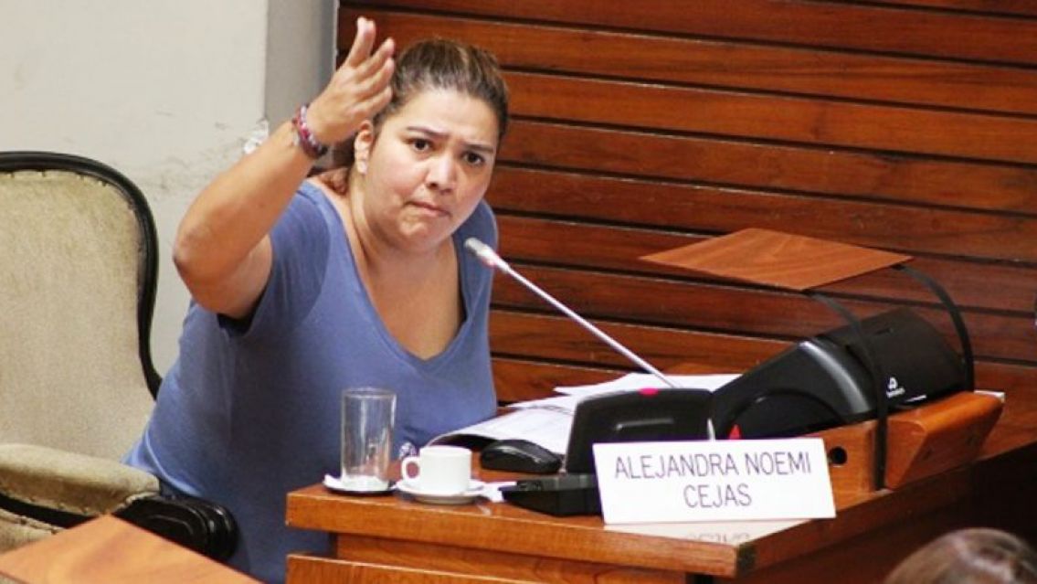 La Diputada Cejas dijo: "El Presidente del Tribunal de Justicia, Pablo Baca, debe renunciar"