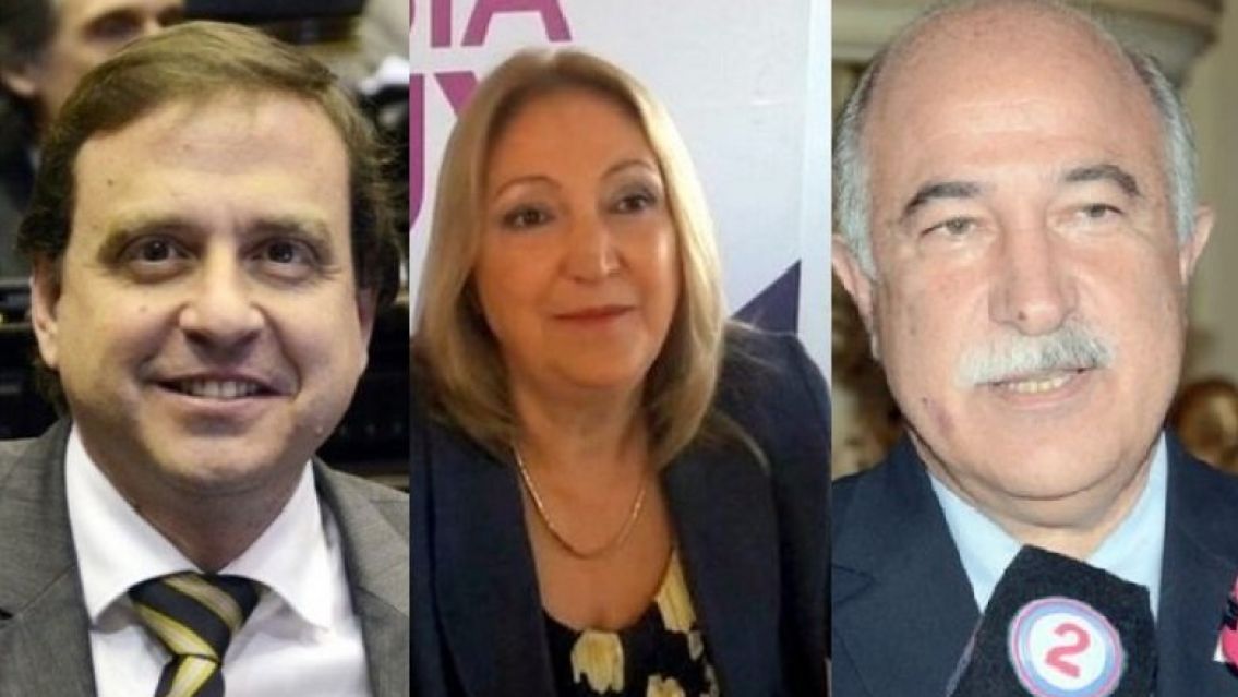 Entre los tres senadores nacionales por Jujuy tienen 73 asesores