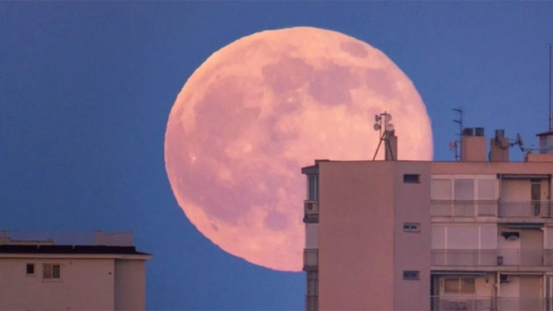 En medio de la cuarentena por el coronavirus, llega la "Superluna Rosa": cu�ndo se la podr� ver